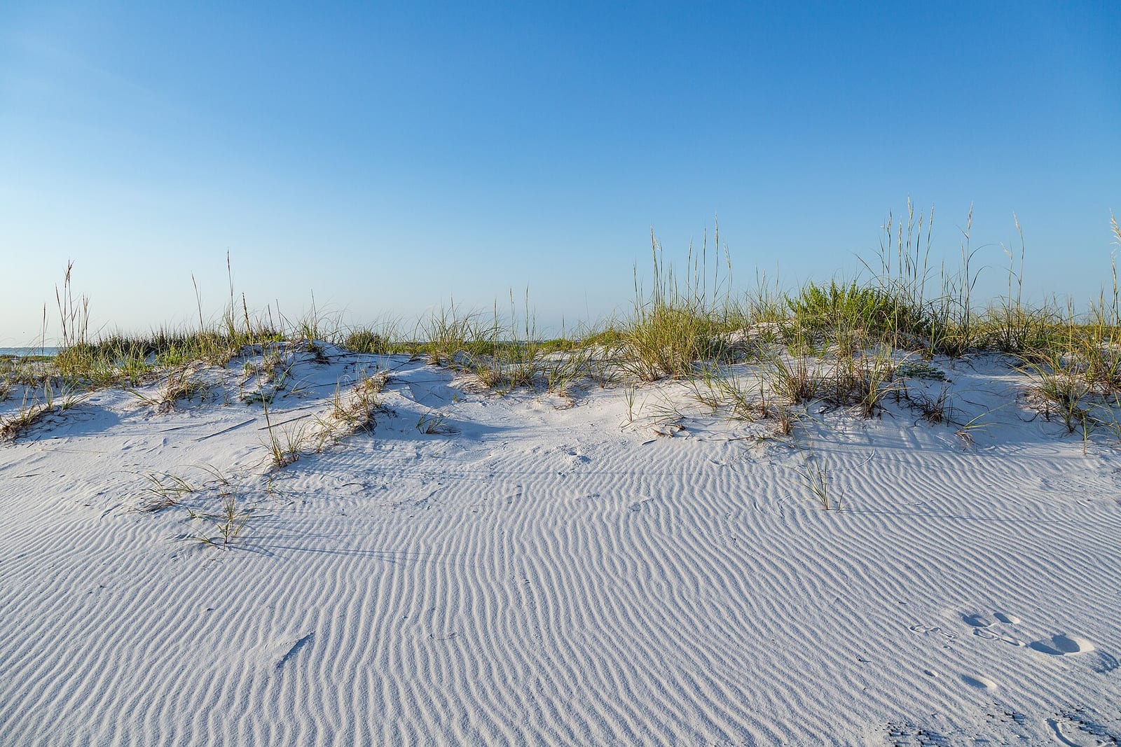 Sugar-white sand and sea oats on Santa Rosa Island, the barrier island