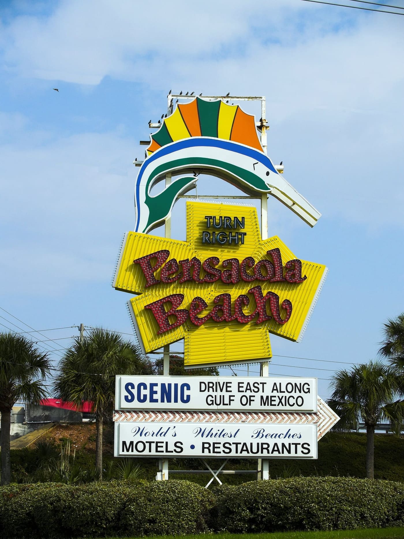 Vintage neon Pensacola Beach sign with a sailfish pointing the way to the beaches